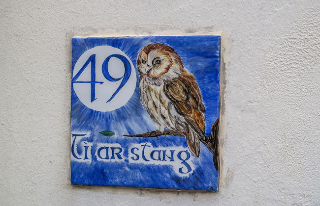 Ti ar Stang - Foto 26