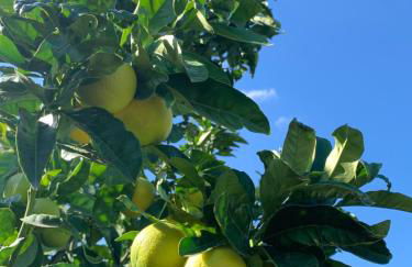 Villa Santa Margherita - Foto 48