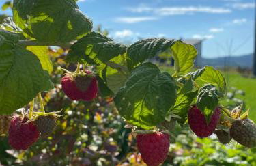 Stodoła 55 - Foto 53