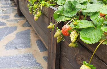 Finca de Luna - Foto 17