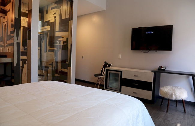 Perfect En Suite Studio - Photo 5