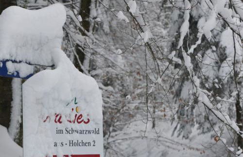 Paradies Im Schwarzwald - Foto 20