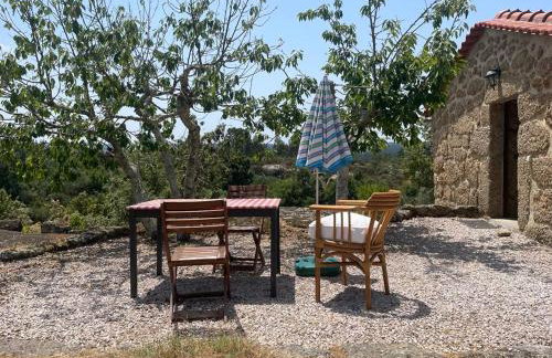 Quinta do Sobral de São Geraldo - Foto 17