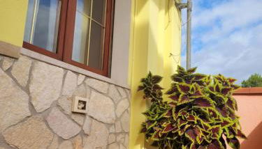 ButterflyHouse - Foto 3