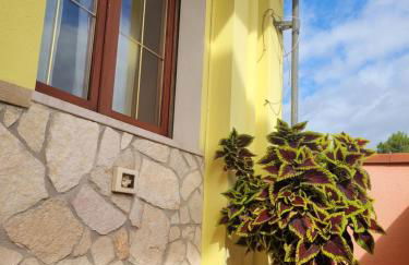 ButterflyHouse - Foto 3