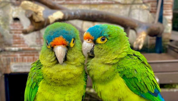 You'll spot numerous birds endemic to this area