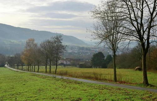Ferienwohnung in Lowensen mit Eigener Terrasse - Foto 43