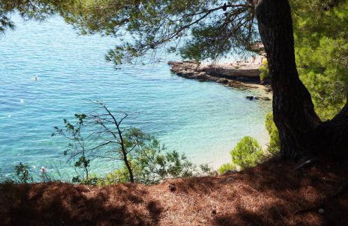 Villa Blanka - Photo 38