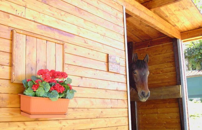 Agriturismo Poggio del Drago - Photo 48