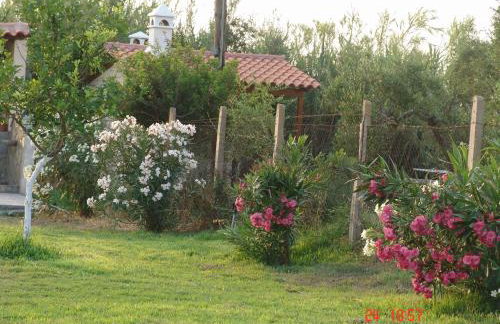 Terpsichore Apartments - Foto 33