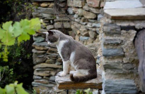 Anastasia Luxury Villas - Photo 10