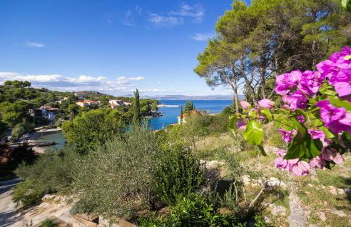 Family-friendly apartments with swimming pool Rogac, Solta - 19809 - Photo 10