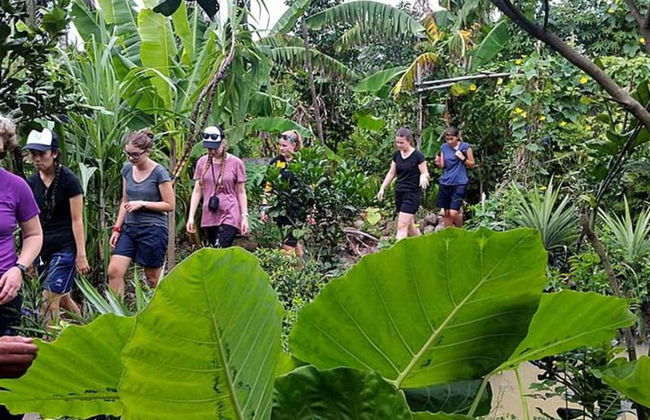 Peaceful Homestay in the Middle of Fruit Garden - Room With Four Double Beds - Foto 13