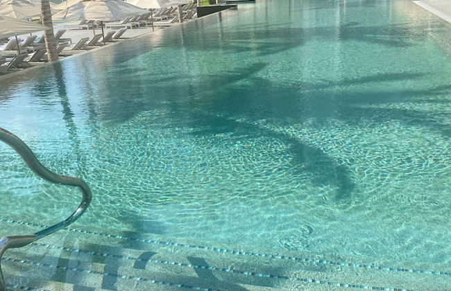 Christmas Heaven in Garza Blanca Mexico - Photo 7