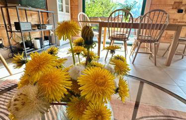 Chata w Szczyrku sauna & balia - Foto 14