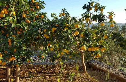 Apartment Pilatus Ošljak - Photo 24