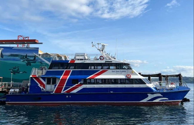 Avistamiento de ballenas en Seattle - Foto 2