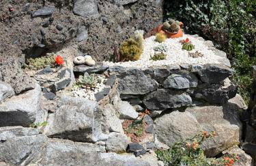 Tropical House - Foto 27