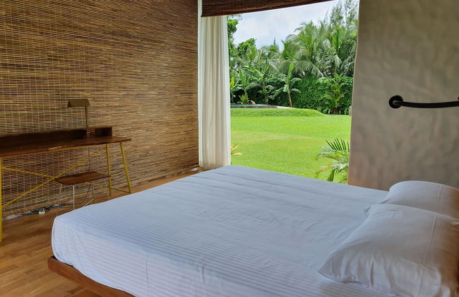 Solar Crab - Photo 8