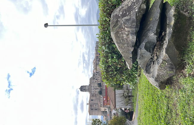 Preta Nera Intera in Giuliano di Roma - Foto 80