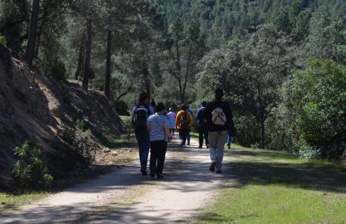 Casa Rural Mirador de los Tomillos - Foto 52