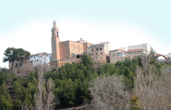 El Olivo de Sansol - Foto 26