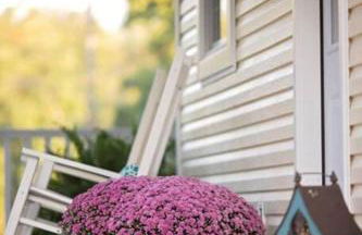 Stonehill Cottages - Foto 22