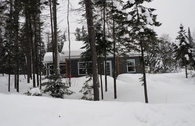 Domaine du parc de la forêt ouareau - Photo 1