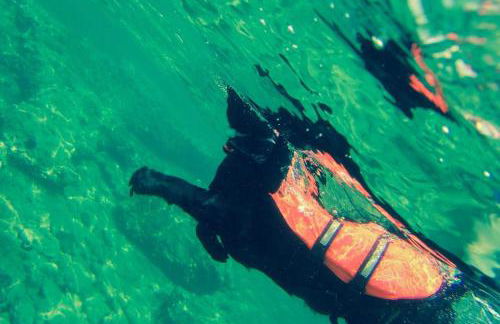 Villa Liana - Photo 13