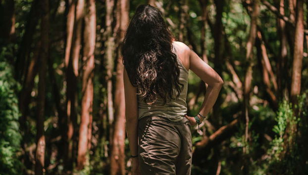 Contemplando el gran bosque que se cierne sobre nosotros