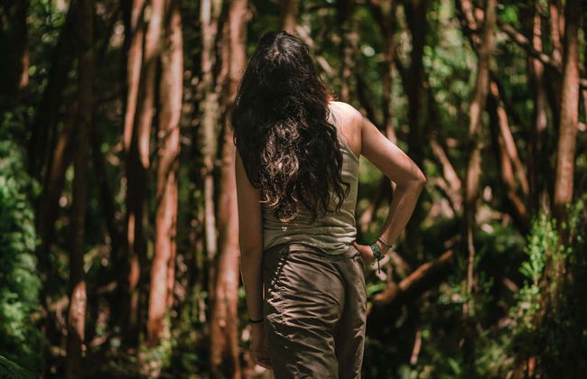 Trekking por el bosque del Parque Tepuhueico - Foto 4