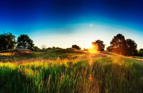 traumHaff Küstenchalets - einzigartige Chalets an der Ostsee. Ganz aus Lärchenholz mit Kamin und Sauna - Foto 54
