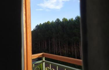 Flat Pedra Azul - Photo 18