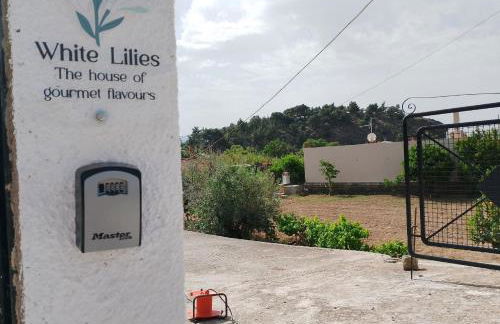 White lilies the house of gourmet flavours - Foto 33