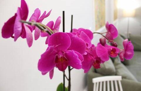 Cosy Paradise - Foto 9