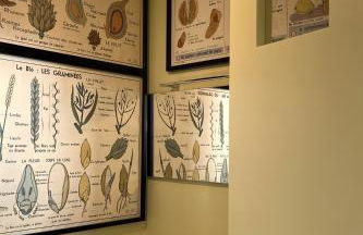 Casa Oliveto - Foto 27