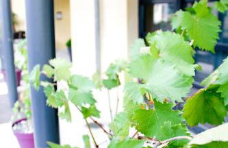 Park Wilson Airport - Foto 35