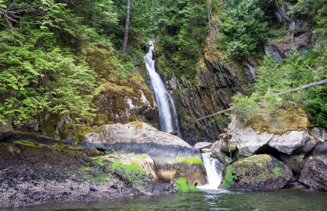 Vancouver Sightseeing Boat Tour - Foto 6