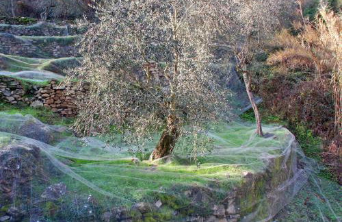 Casa Fabrizio - Foto 28