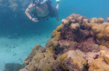 Chalé Paraíso -Maracajaú 4- Casa 38 - Beira-mar - Foto 34