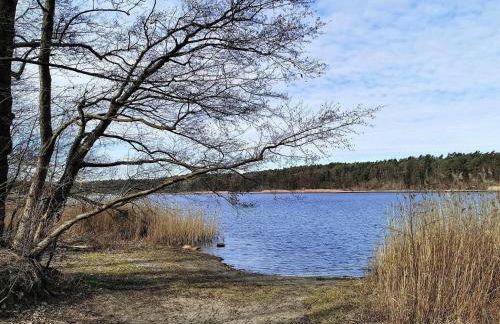 Appartement in Strausberg mit Frühstück inklusive - Foto 22