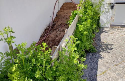 CRALS - Casa da Guilheta - Foto 69