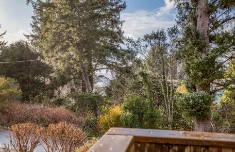 The NeahKahNie House - Meredith Lodging - Foto 43