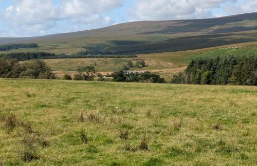 Pet Friendly - Lodge at Riverview Holiday Park - Foto 26