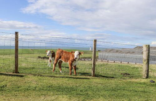 Corsewall Castle Farm Lodges - Foto 49