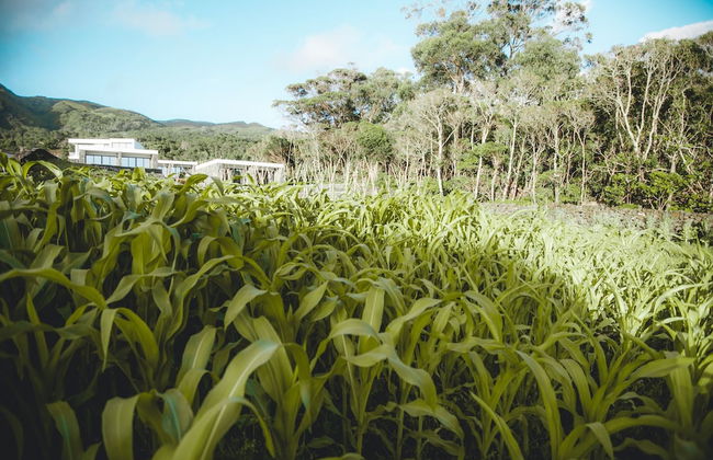 Make It Happen Farm - Foto 25