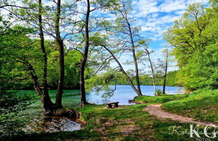 Ferienhaus Vogelsang in Feldberg - Foto 10