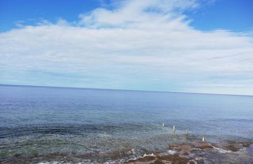 Apartments Oleander Lovrečica-residence with pool - Photo 69