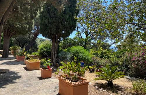 Les Stoechades - Foto 11