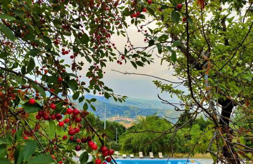 Agriturismo Borgo Biaia - Foto 45